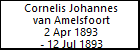 Cornelis Johannes van Amelsfoort