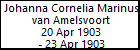 Johanna Cornelia Marinus van Amelsvoort