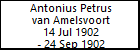 Antonius Petrus van Amelsvoort