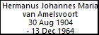 Hermanus Johannes Maria van Amelsvoort