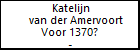 Katelijn van der Amervoort