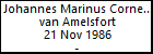 Johannes Marinus Cornelus van Amelsfort
