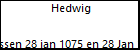 Hedwig 