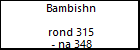 Bambishn 