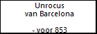 Unrocus van Barcelona