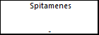 Spitamenes 